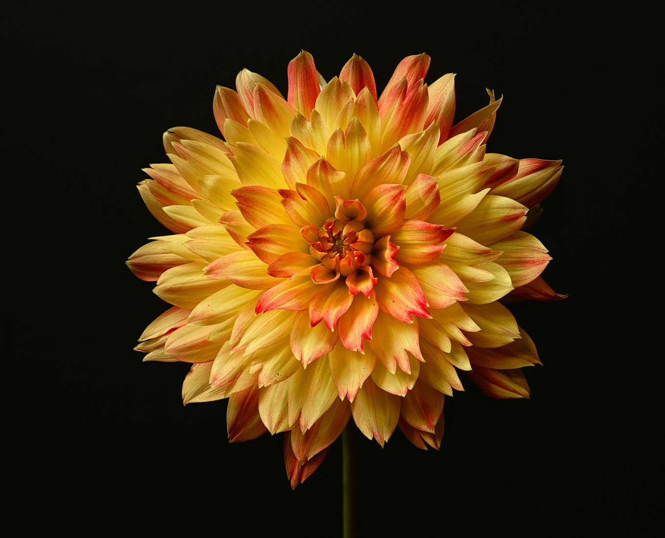 The Foundational Principle of Truth