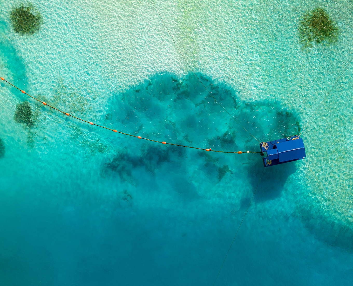 The Empowering Principle of Courage