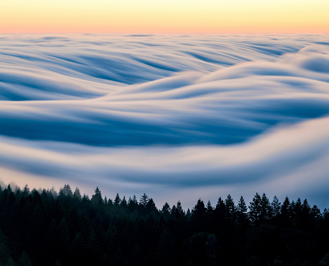 The Peaceful Principle of Humility