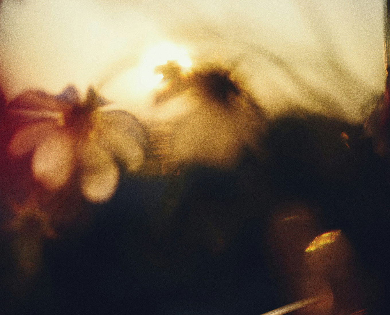 The Heart-Opening Principle of Love